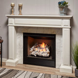 Bluegrass Living Vent Free Dual Fuel Gas Log Set - 18 in. Birch Wood, 30,000 BTU, Remote Control - Model# B18DR-UL3