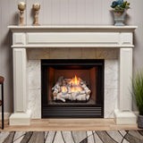 Bluegrass Living Vent Free Dual Fuel Gas Log Set - 18 in. Birch Wood, 30,000 BTU, Remote Control - Model# B18DR-UL3