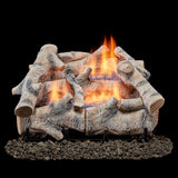 Bluegrass Living Vent Free Dual Fuel Gas Log Set - 18 in. Birch Wood, 30,000 BTU, Remote Control - Model# B18DR-UL3