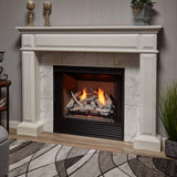 Bluegrass Living Vent Free Dual Fuel Gas Log Set - 24 in. Driftwood, 33,000 BTU, Remote Control - Model# B24DR-ES2