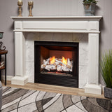 Bluegrass Living Vent Free Dual Fuel Gas Log Set - 24 in. Birch Wood, 33,000 BTU, Remote Control - Model# B24DR-ES3