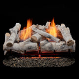 Bluegrass Living Vent Free Dual Fuel Gas Log Set - 24 in. Birch Wood, 33,000 BTU, Remote Control - Model# B24DR-ES3