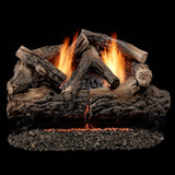 Bluegrass Living Vent Free Dual Fuel Gas Log Set - 24 in. Rustic Oak, 33,000 BTU, Remote Control - Model# B24DR-ES4