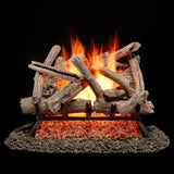 Bluegrass Living Vented Natural Gas Fireplace Log Set - 24 in. Driftwood, 55,000 BTU, Match Light - Model# BVL24-1
