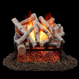 Bluegrass Living Vented Natural Gas or Propane Fireplace Log Set With Remote Control Kit - 18 in. Birch Wood, 45,000 BTU - Model# BVL18-2-RO