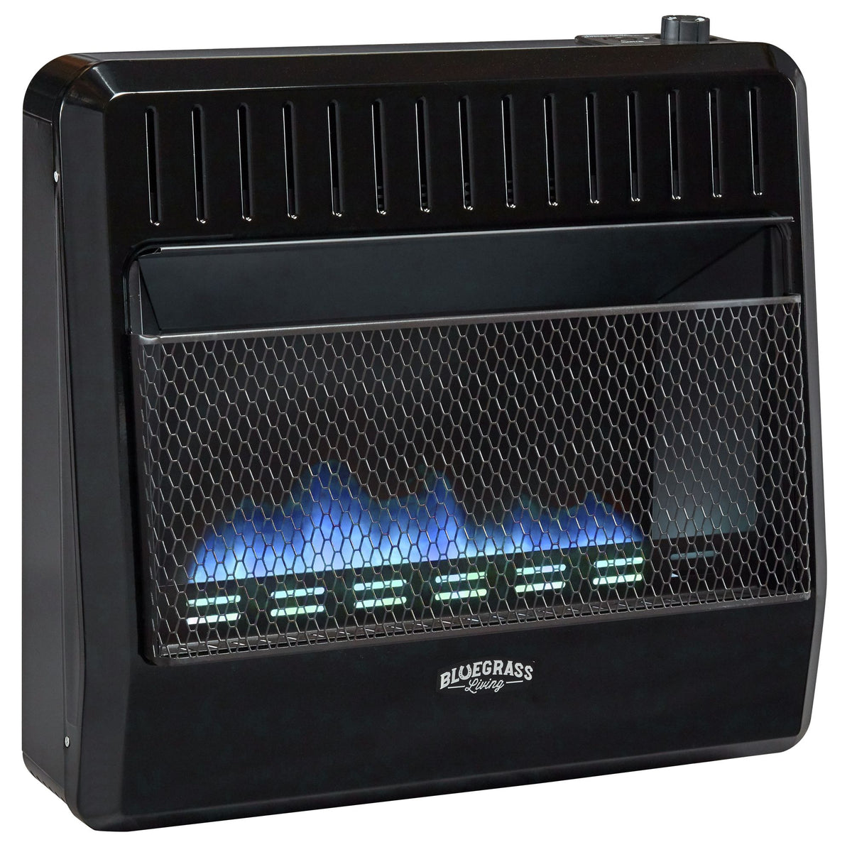 Bluegrass Living Propane Gas Blue Flame Garage Heater - 30,000 BTU, T-