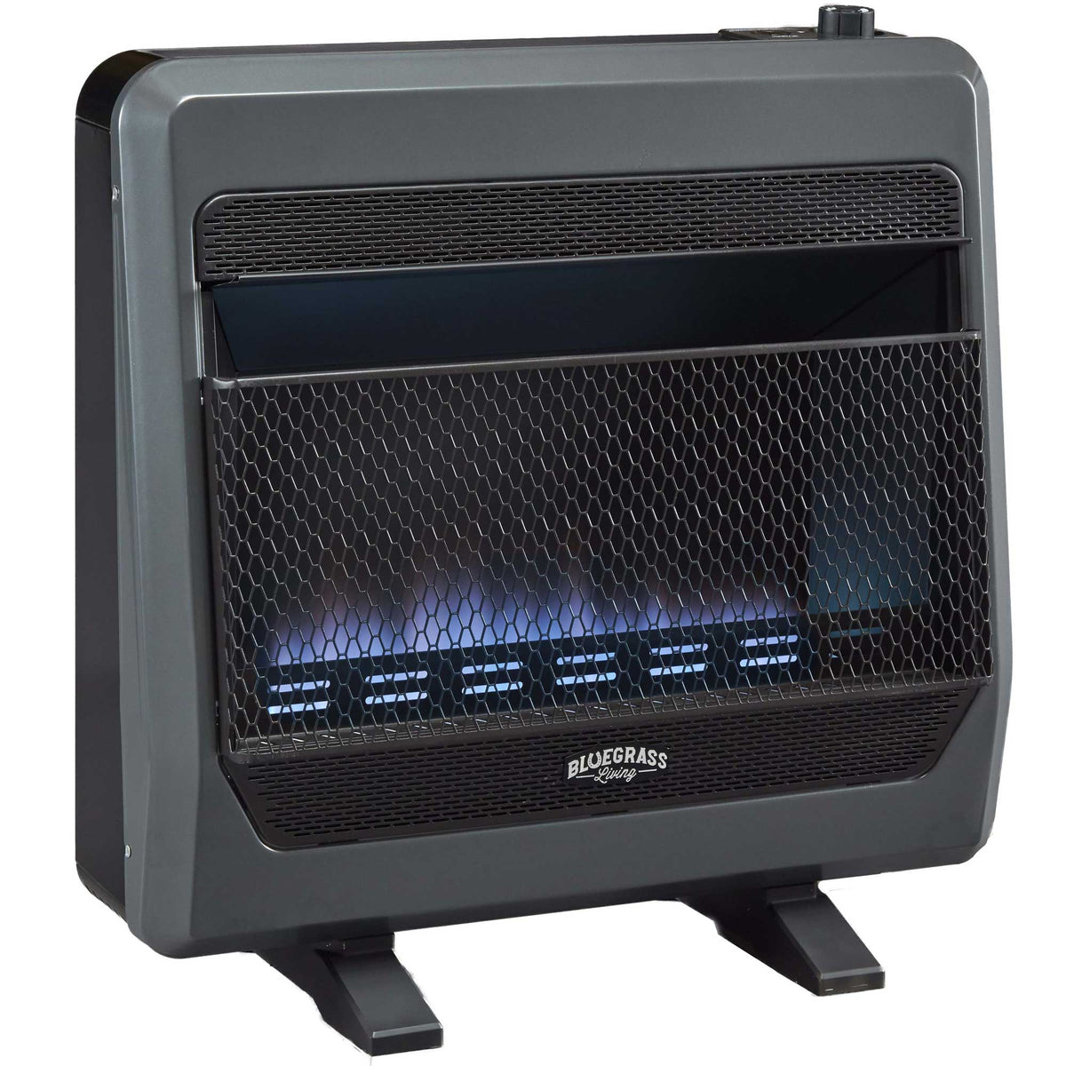 Bluegrass Living Natural Gas Vent Free Blue Flame Gas Space Heater With  Blower and Base Feet