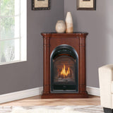 Bluegrass Living Vent Free Natural Gas Fireplace System - 10,000 BTU, T-Stat Control, Walnut Finish - Model# B100TN-3-W