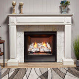 Bluegrass Living Vent Free Dual Fuel Gas Log Set - 24 in. Birch Wood, 33,000 BTU, Remote Control - Model# B24DR-ES3