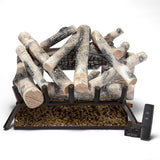 Bluegrass Living Vented Natural Gas or Propane  Fireplace Log Set With Remote Control Kit - 24 in. Birch Wood, 55,000 BTU - Model# BVL24-2-RO