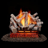 Bluegrass Living Vented Natural Gas or Propane  Fireplace Log Set With Remote Control Kit - 24 in. Birch Wood, 55,000 BTU - Model# BVL24-2-RO