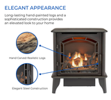 Bluegrass Living Panorama Vent Free Dual Fuel 3-Sided Gas Stove - 23,000 BTU, Remote Control, Black Finish - Model# BTSD23RT