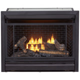 Bluegrass Living Vent Free Propane Gas Fireplace Insert - 26,000 BTU, Remote Control, Zero Clearance Design - Model# B300RTP