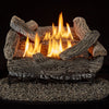 Bluegrass Living Vent Free Natural Gas Log Set - 18 Inch Traditional Oak, 30,000 BTU, Remote Control - Model# B18NR-UL1