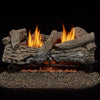 Bluegrass Living Vent Free Natural Gas Log Set - 24 Inch Traditional Oak, 32,000 BTU, Remote Control - Model# B24NR-ES1