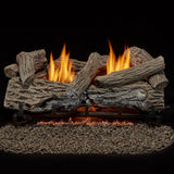 Bluegrass Living Vent Free Natural Gas Log Set - 24 Inch Traditional Oak, 32,000 BTU, Remote Control - Model# B24NR-ES1