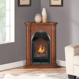 Bluegrass Living Vent Free Propane Gas Fireplace System - 10,000 BTU, T-Stat Control, Apple Spice Finish - Model# B100TP-3-AS