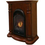 Bluegrass Living Vent Free Natural Gas Fireplace System - 10,000 BTU, T-Stat Control, Cherry Finish - Model# B100TN-FCC