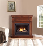 Bluegrass Living Vent Free Propane Gas Fireplace System - 26,000 BTU, Remote Control, Chestnut Oak Finish - Model# B300RTP-1-CO