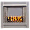 Bluegrass Living Vent Free Stainless Outdoor Gas Fireplace Insert With Reflective Black Glass Media - 24,000 BTU, Manual Control - Model# BL450SS-G-RBLK