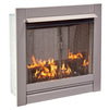 Bluegrass Living Vent Free Stainless Outdoor Gas Fireplace Insert With Reflective Black Glass Media - 24,000 BTU, Manual Control - Model# BL450SS-G-RBLK