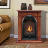 Bluegrass Living Vent Free Propane Gas Fireplace System - 10,000 BTU, T-Stat Control, Apple Spice Finish - Model# B100TP-1-AS